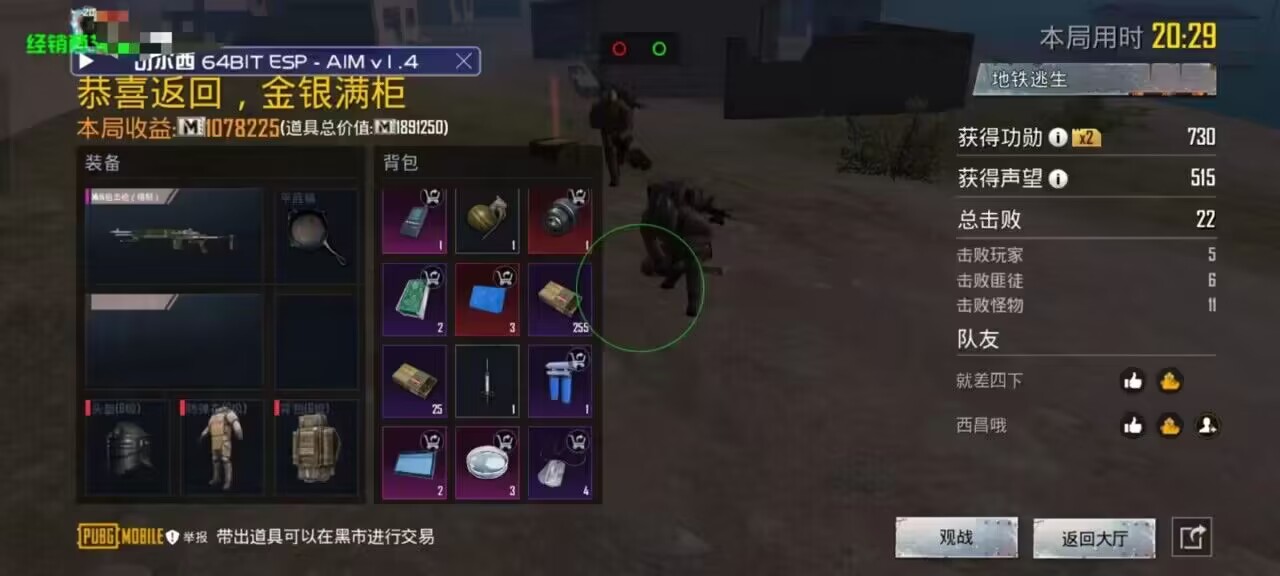 和平精英《诛仙》辅助
