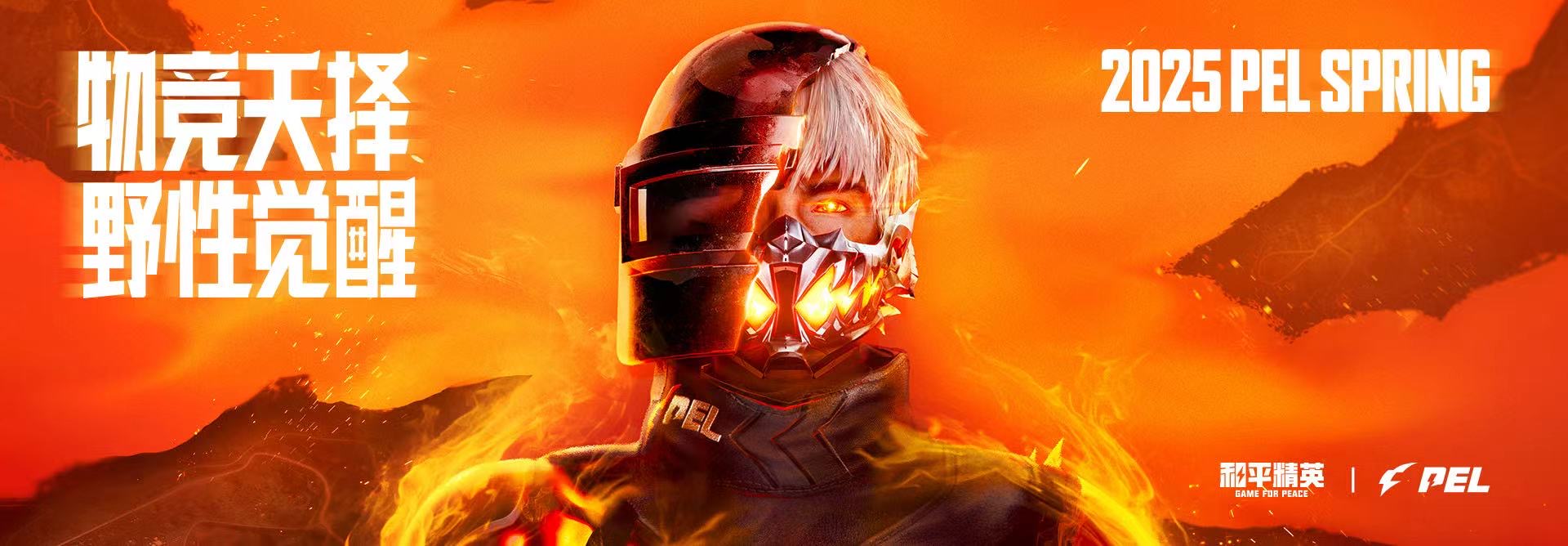 和平精英辅助：辅助软件的辩证视角与游戏公平